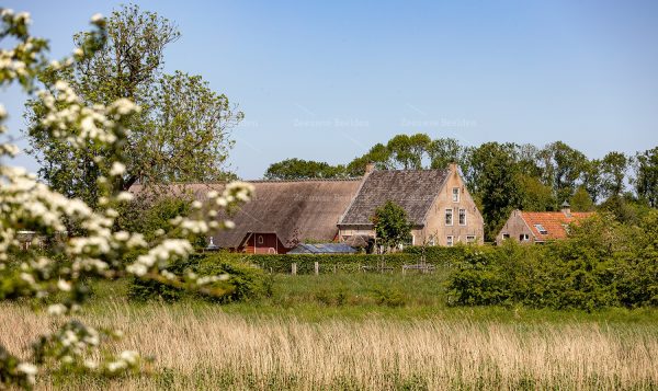 Boerderij Roode Hoeve in de Zak van Zuid-Beveland