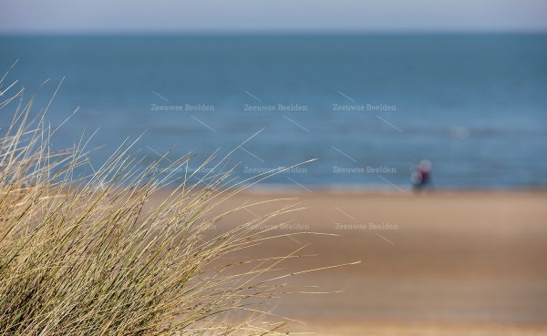Close-up helmgras met strand