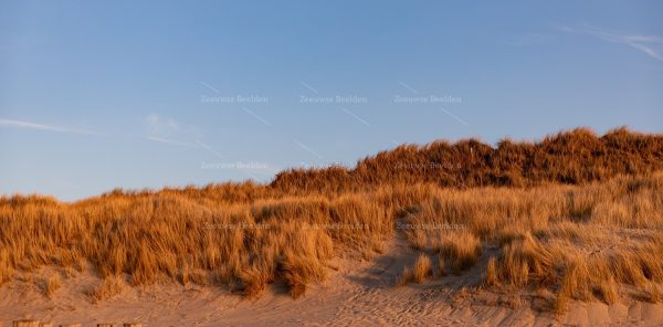 Duinen met avondlicht