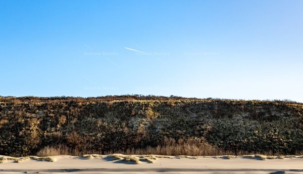Duinen op het strand
