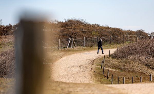 Duinpad met wandelaar