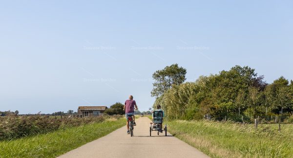 Fietsen door de polders van Zeeland