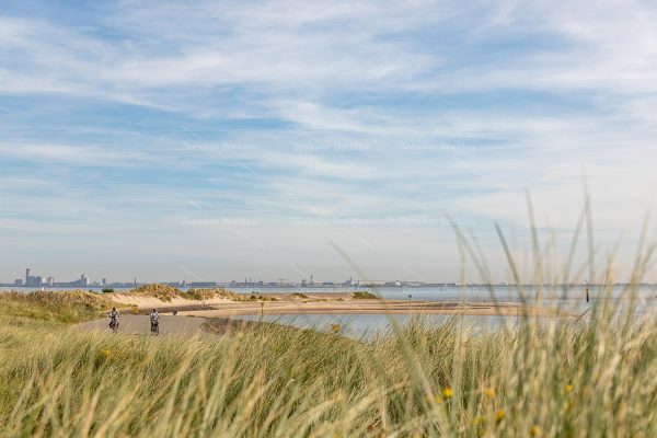 Fietsers langs de Westerschelde