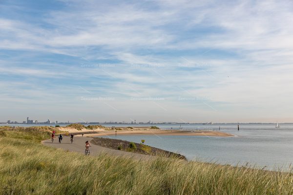 Fietsers op Zeeuws-Vlaanderen