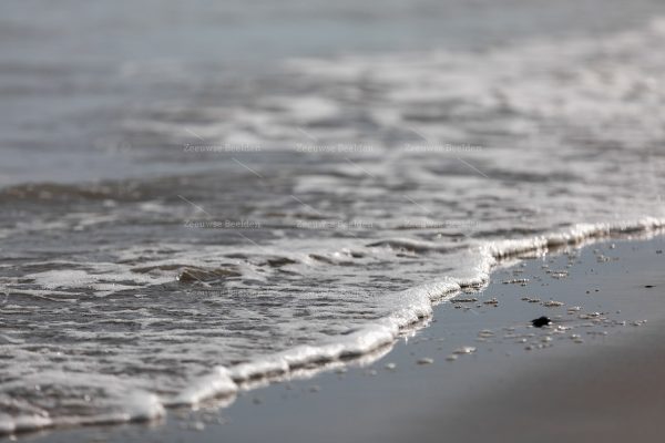Golf komt aan op het strand