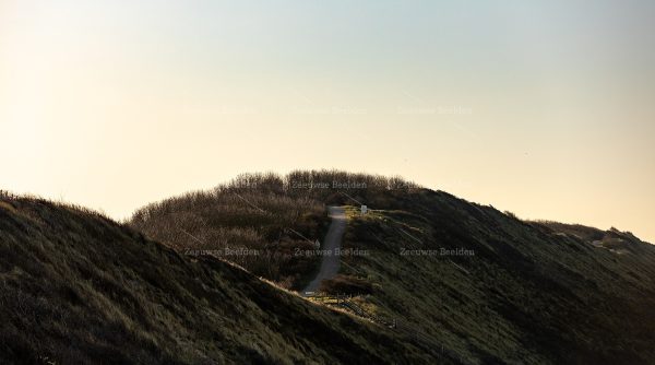 Golvend duinpad in de duinen van Dishoek