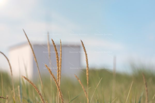 Helmgras en strandhuisje