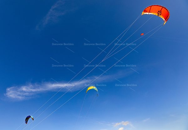 Kites in de lucht