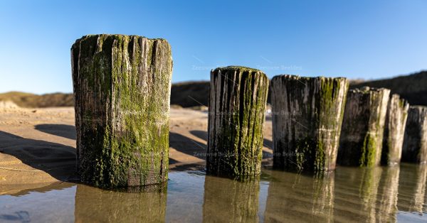 Kleine strandpalen in het water