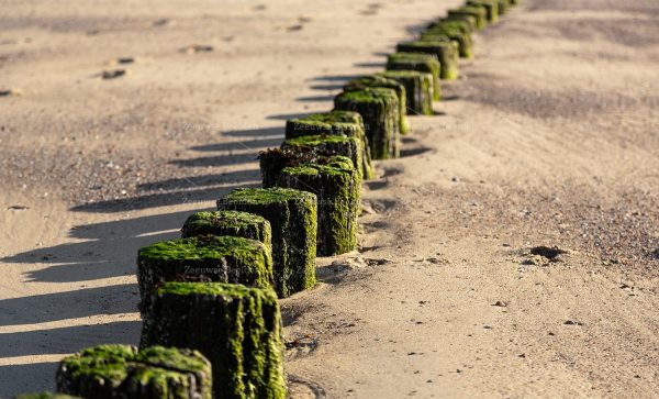 Kleine strandpalen van bovenaf