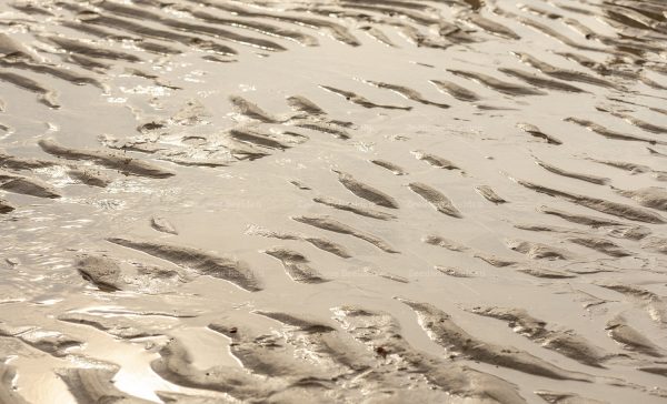 Laagwater op het strand