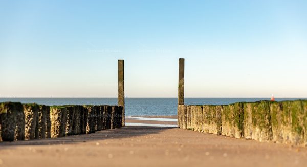 Midden tussen de strandpalen