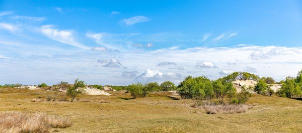 Natuurgebied Westenschouwen 3