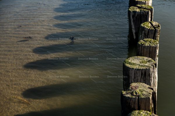 Schaduw strandpalen in het water 2