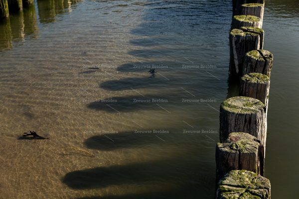 Schaduw strandpalen in het water 3