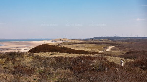 Strand en duinen met wandelaar