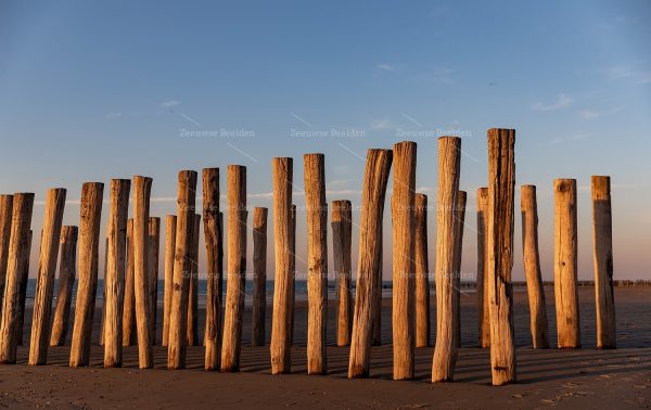 Strandpaaltjes bij avondlicht 5