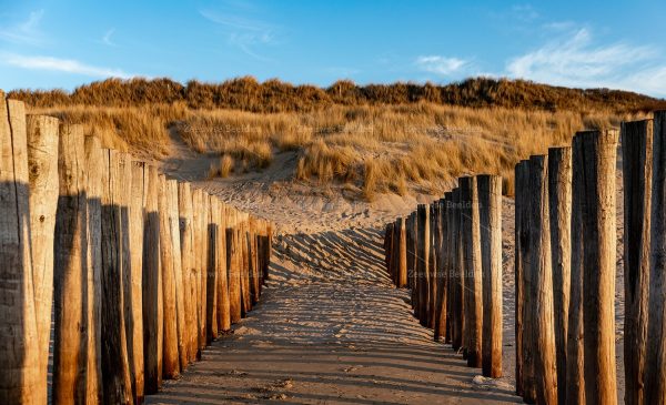 Strandpaaltjes bij avondlicht