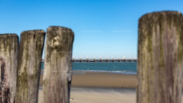Strandpaaltjes met de Oosterscheldekering