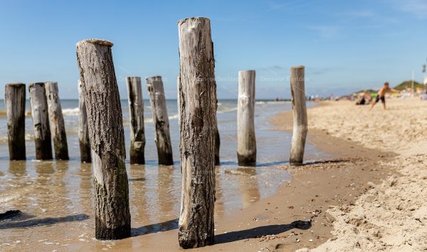 Strandpaaltjes op het strand 2
