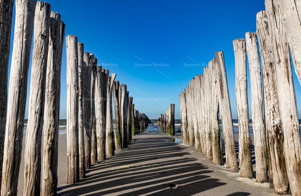 Strandpaaltjes Westenschouwen 4