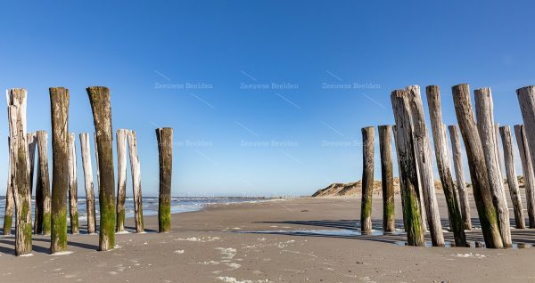 Strandpaaltjes Westenschouwen