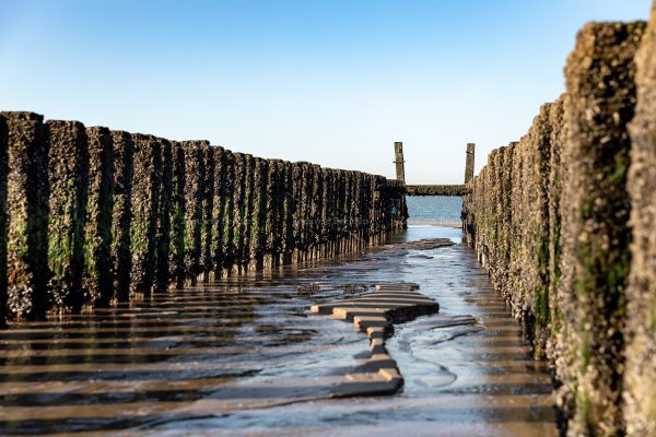 Strandpalen bij eb 5