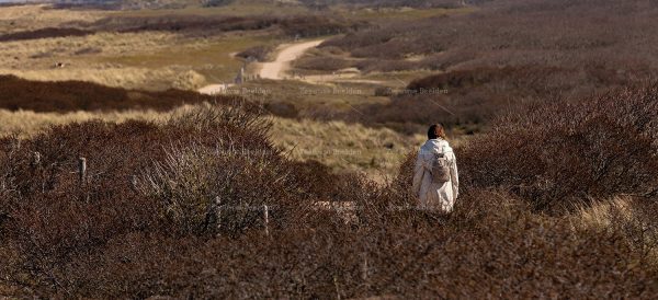 Wandelaar in de duinen
