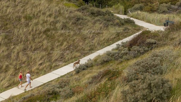 Wandelaars in de duinen