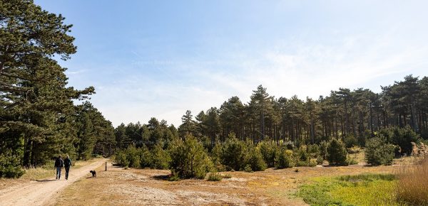Wandelaars in de Kop van Schouwen