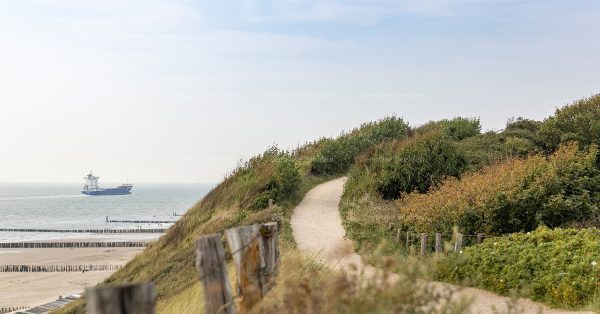 Wandelpad door de duinen