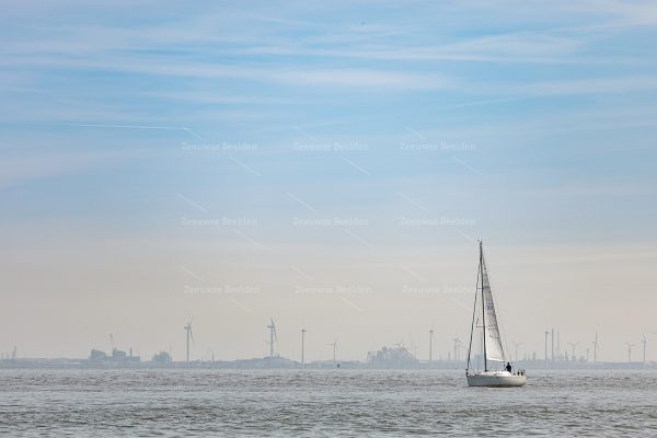 Zeilschip op de Westerschelde