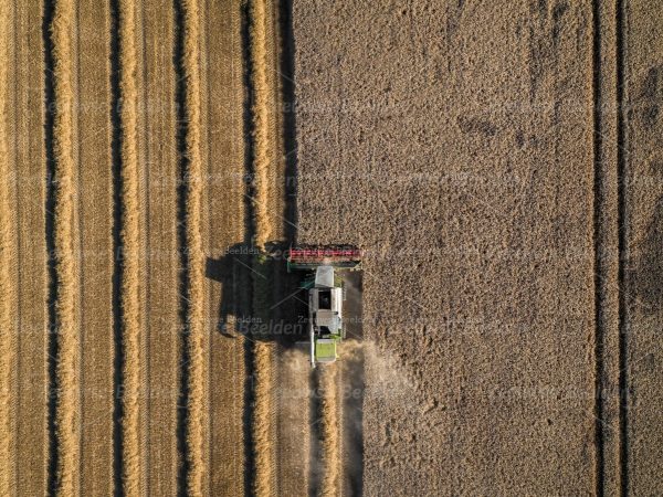 Combine dorst in Zeeuws Vlaanderen 1