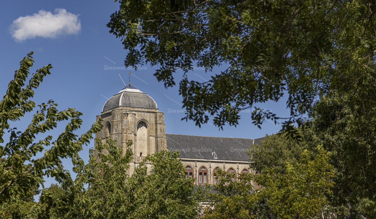 Grote Kerk Veere door de bomen