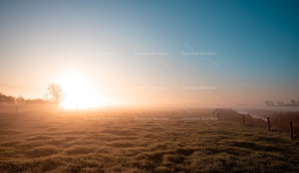 Mistige polder bij ochtendlicht