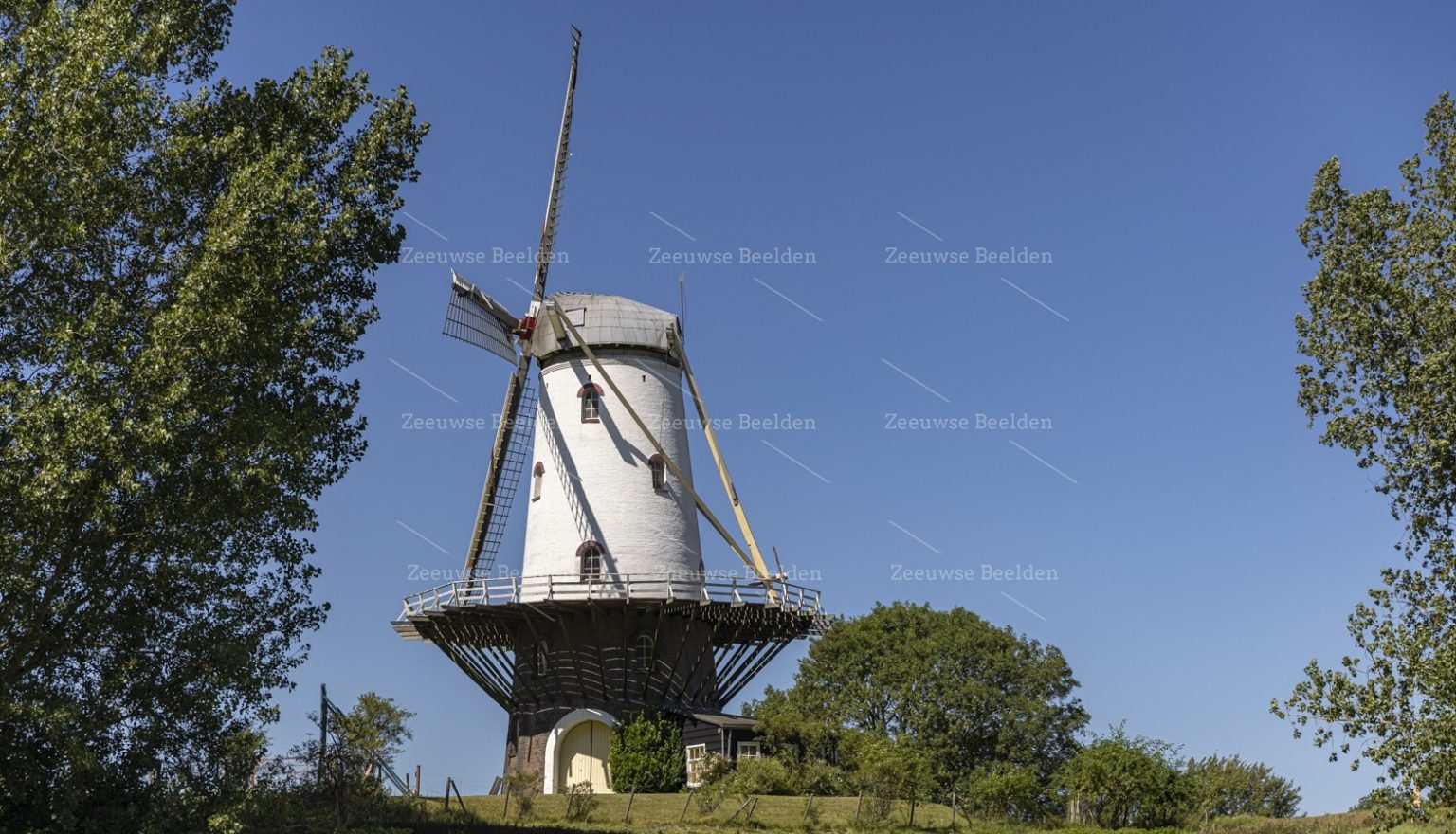 Molen in Veere