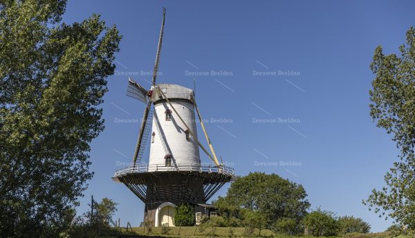 Molen in Veere