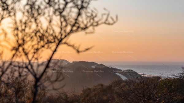 Ochtendlicht in de duinen