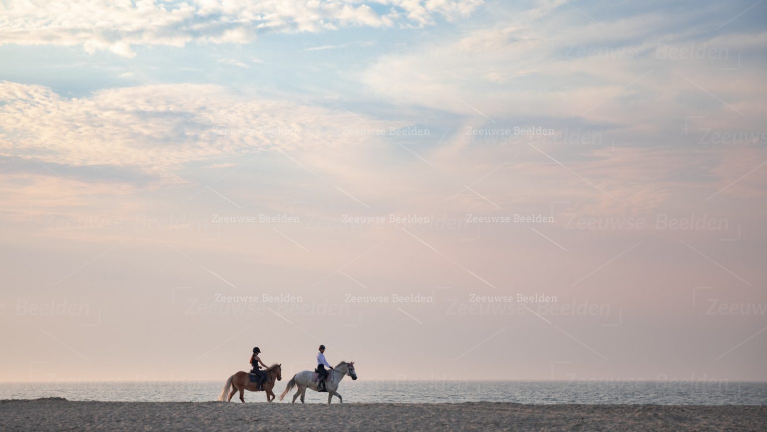 Paardrijders op een zomeravond in Vrouwenpolder