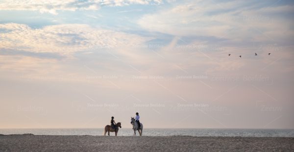 Paardrijders op een zomeravond in Vrouwenpolder 2