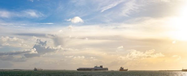 Prachtig avondlicht boven de Westerschelde