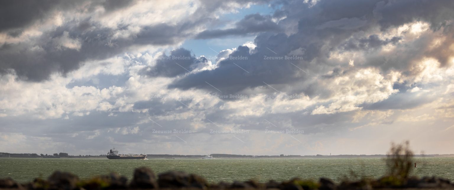 Scheepvaart over de Westerschelde
