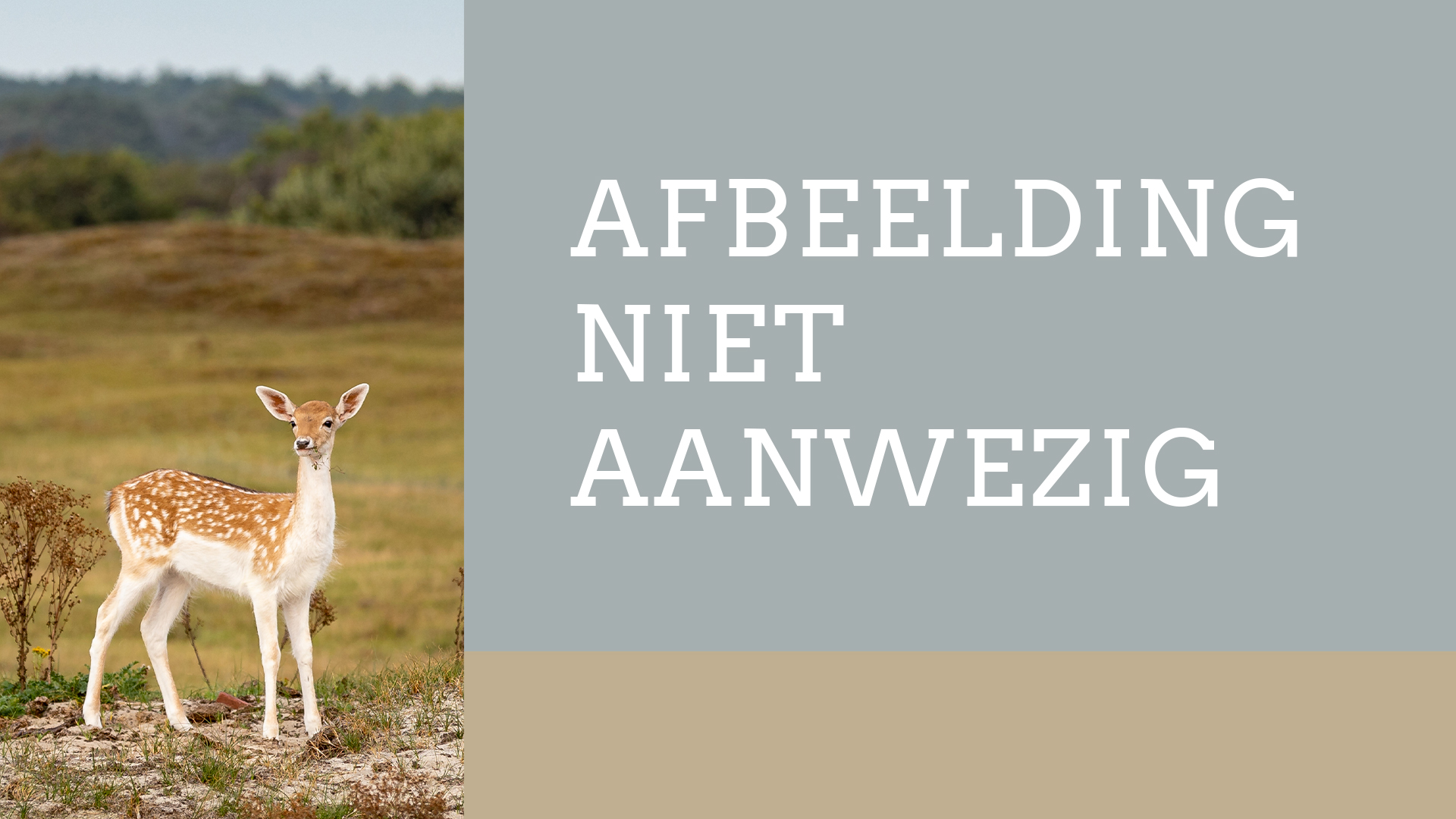 Nog geen product afbeelding beschikbaar