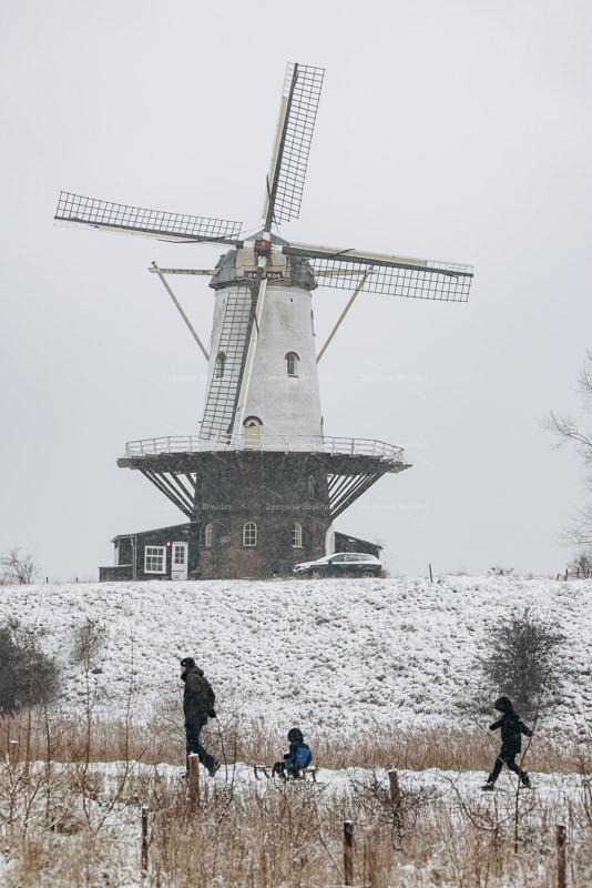 Gezin geniet van de eerste sneeuwval