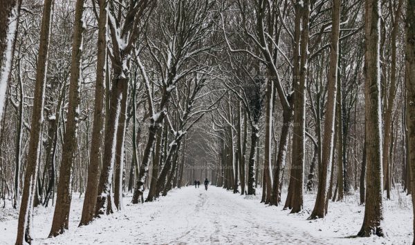 Met sneeuw bedekte Manteling Oostkapelle