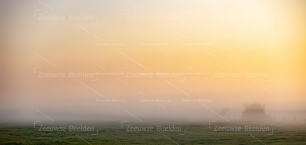 Mistige polder bij ochtendlicht 2