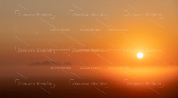 Opkomende zon op een mistige ochtend