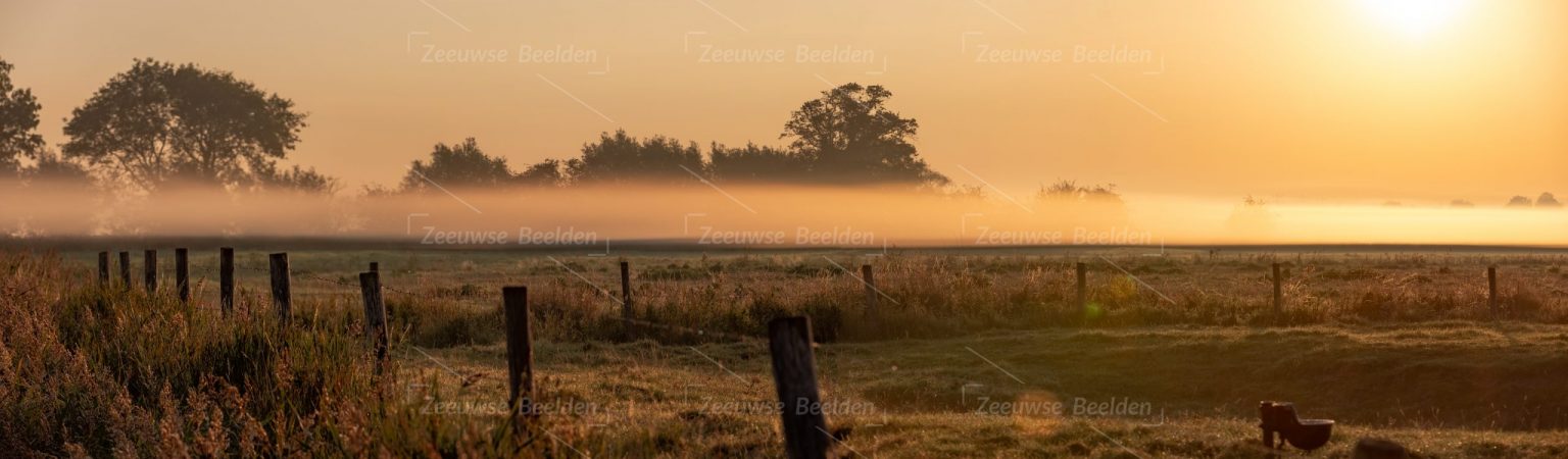 Panoramafoto dauw op het weiland