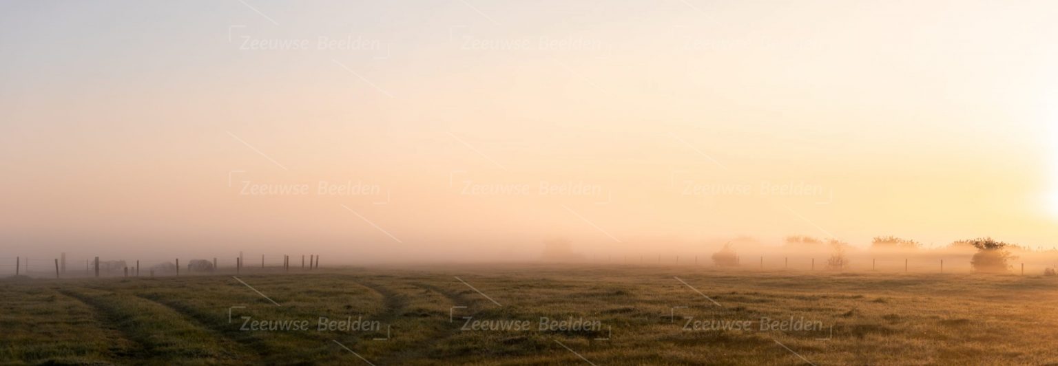 Panoramafoto mistige polder bij ochtendlicht