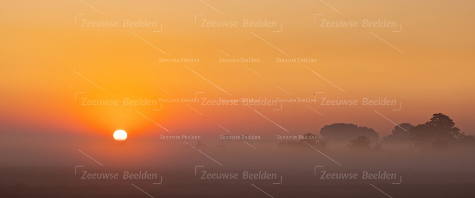 Panoramafoto opkomende zon op een mistige ochtend